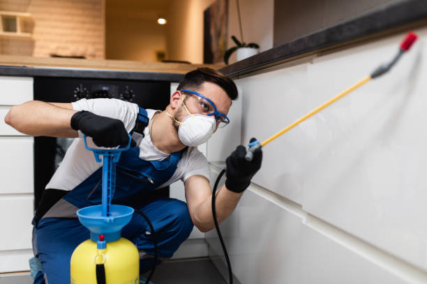 Best Termite Control Services  in Gardendale, TX