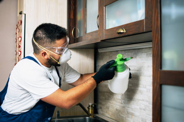 Best Affordable Pest Control Services  in Gardendale, TX