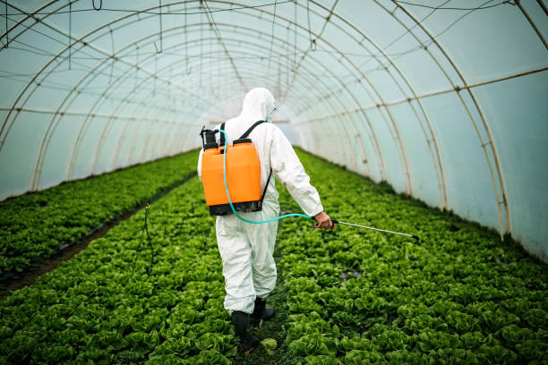 Best Mosquito Control Services  in Gardendale, TX