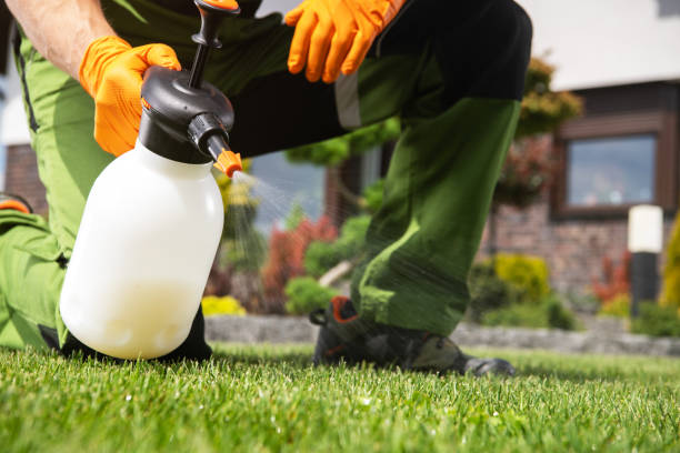 Best Bed Bug Extermination  in Gardendale, TX